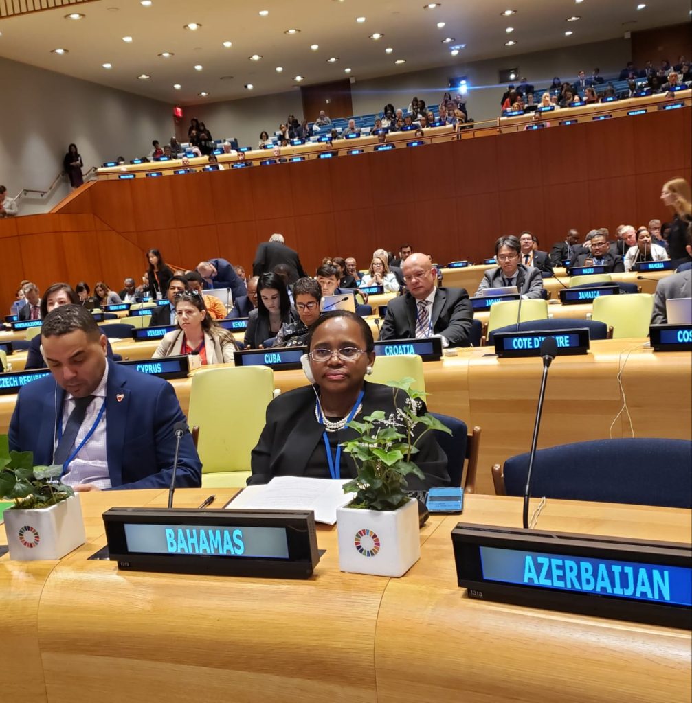 BRENNEN-HAYLOCK PARTICIPATES IN HIGH LEVEL MEETING AT U.N. ON SMALL ...