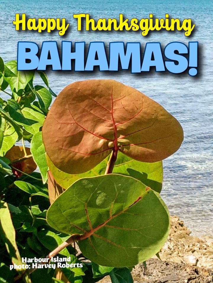 HAPPY THANKSGIVING BAHAMAS BAHAMIANS AND SOUTH FLORIDIANS SHARE A RICH